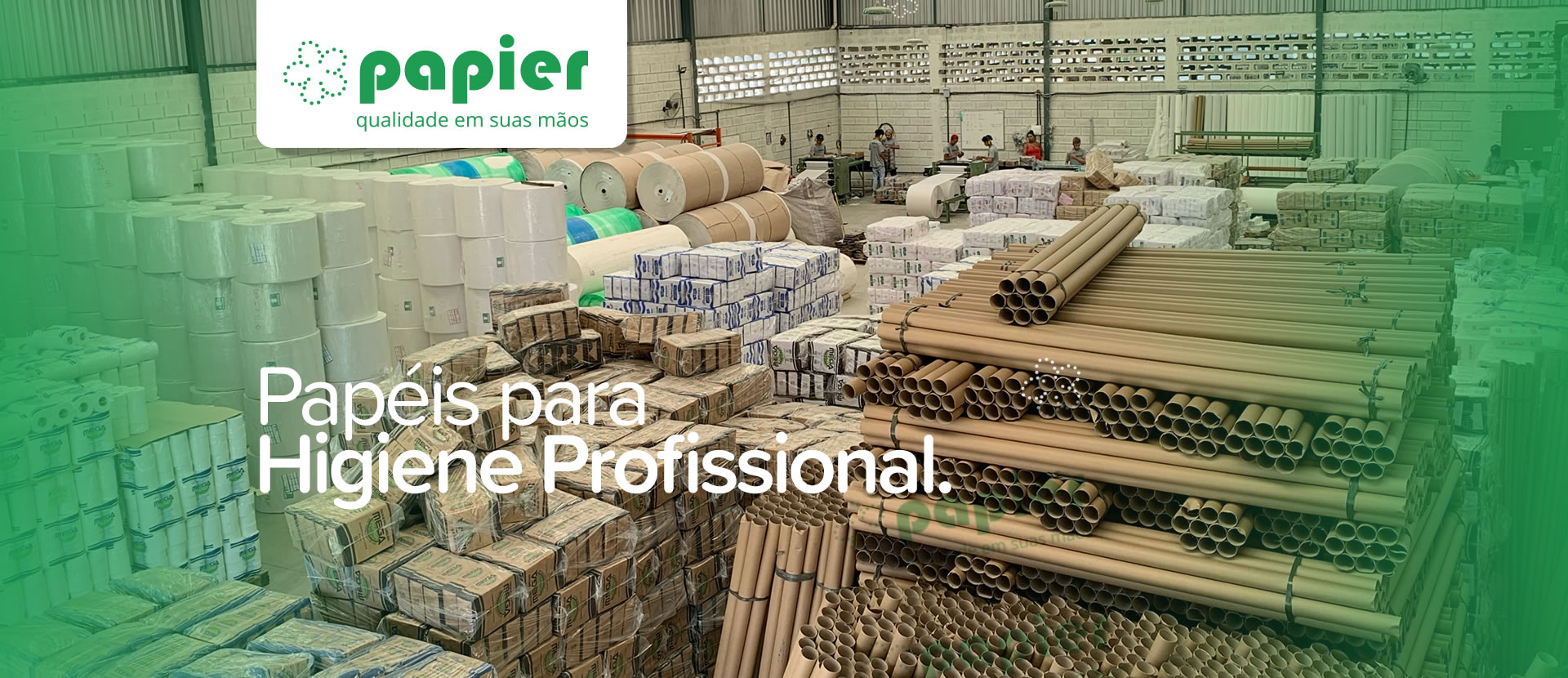 Papeis Para Higiene Profissional
